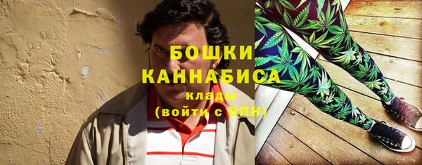 дживик Лихославль