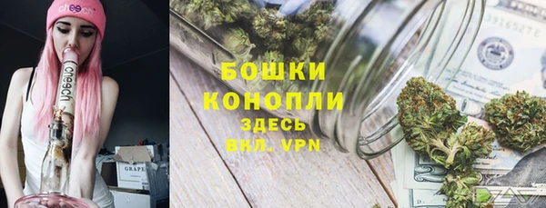 дживик Лихославль